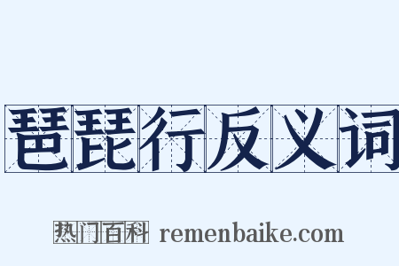 琶琵行反义词是什么意思的图片